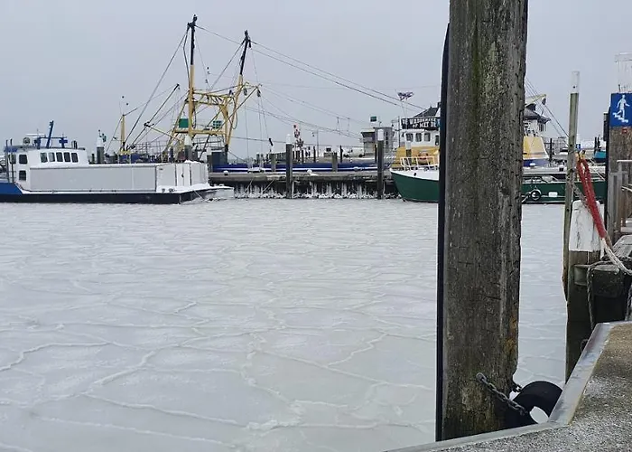 Hunsingo Texel